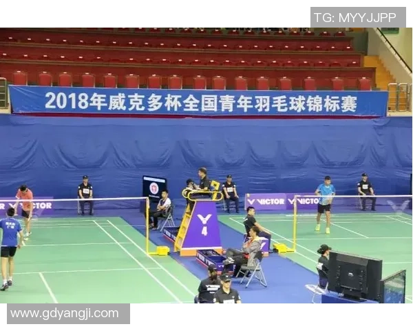南京羽毛球队在锦标赛中的战术表现分析与点评探讨 南京羽毛球队在锦标赛中的战术表现分析与点评探讨