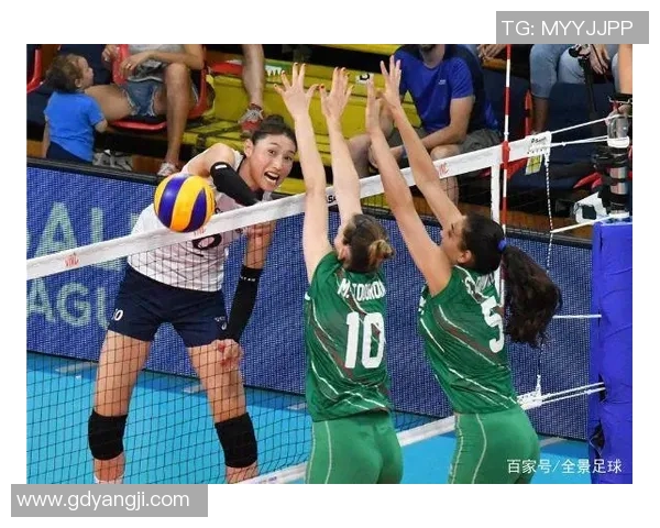 杭州排球队的整体压制革新探索与实践之路全景分析