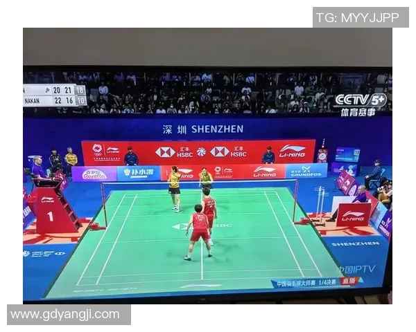 杭州羽毛球队在奥运会上的灵活性表现与战术创新分析 杭州羽毛球队在奥运会上的灵活性表现与战术创新分析