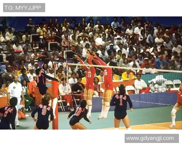 王静谈排球生涯：从青涩少女到辉煌冠军的心路历程