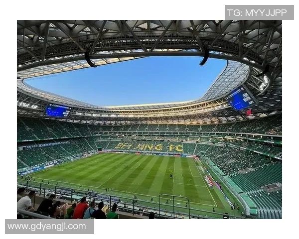 法语国家的足球巨星们如何在绿茵场上书写传奇故事 法语国家的足球巨星们如何在绿茵场上书写传奇故事