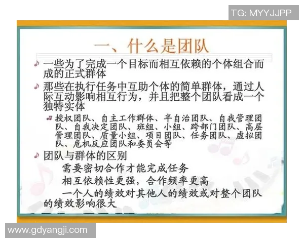 成都排球队精英赛表现评析团队协作的重要性与未来发展方向