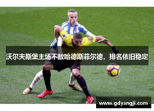 沃尔夫斯堡主场不敌哈德斯菲尔德，排名依旧稳定