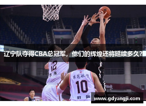 辽宁队夺得CBA总冠军，他们的辉煌还将延续多久？