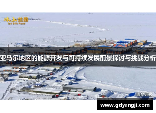 亚马尔地区的能源开发与可持续发展前景探讨与挑战分析